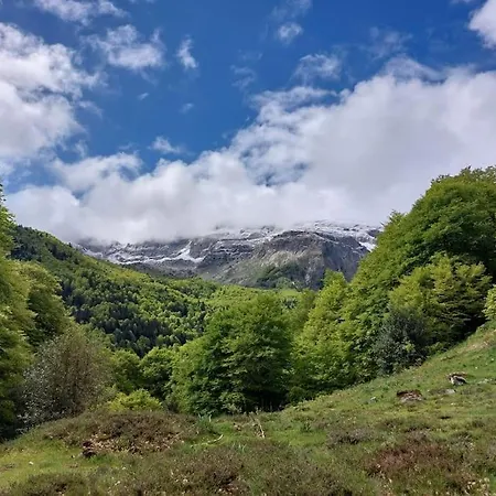 Apartment Atico La Flor Del Sol *