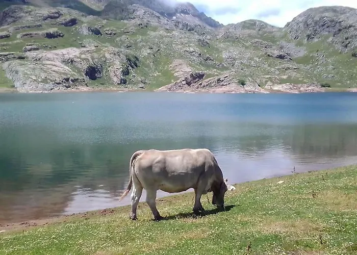 Atico La Flor Del Sol Canfranc