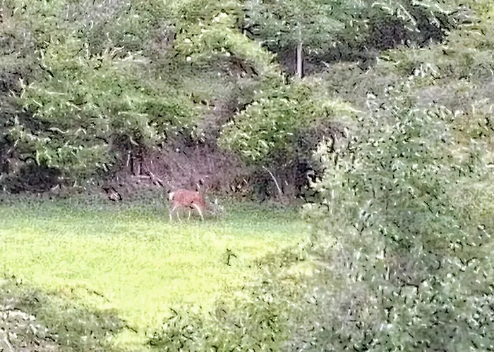 Lägenhet Atico La Flor Del Sol Canfranc